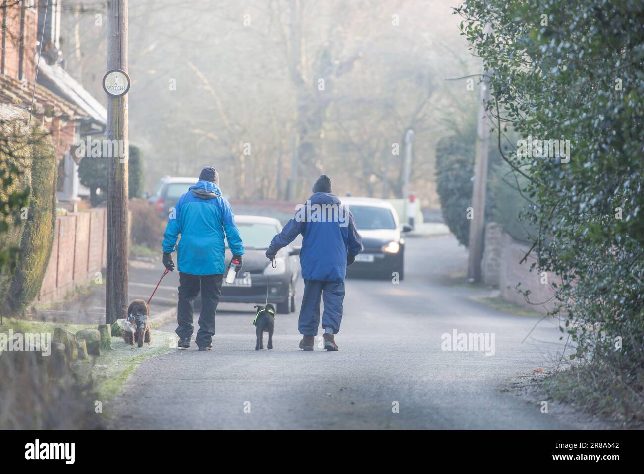 Rückansicht von zwei älteren Männern, die Hunde entlang einer Straße in einem ländlichen, englischen Dorf führen, eingewickelt in Wintermäntel und Hüte, an einem frostigen kalten Wintermorgen. Stockfoto