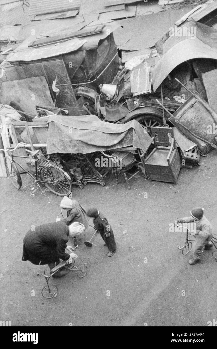 Tatsächlich 011946 Die schreckliche Rückseite der Wohnungskrise