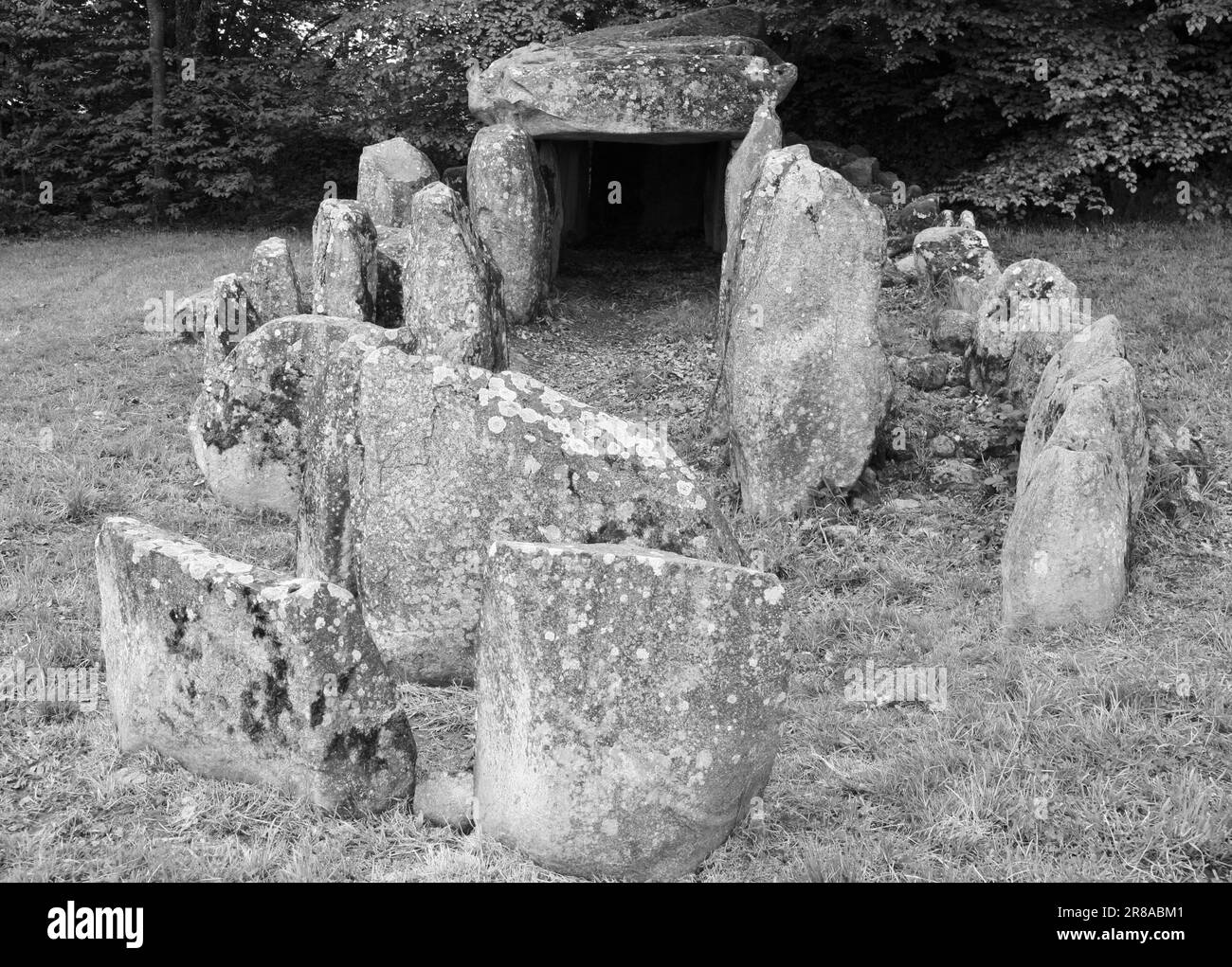 Blick auf Les Megalithes in Passais la Conception, Domfront en Poiraie, Normandie, Frankreich, Europa Stockfoto