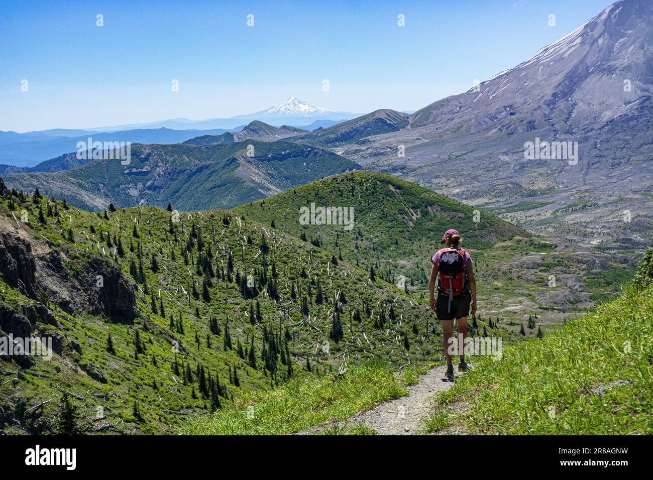 Erwachsene Frau wandert auf dem Mt Margaret unter Mount Saint Helens, Washington. Stockfoto