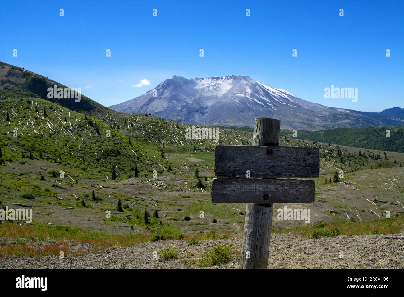 Mount Saint Helens, Washington. Stockfoto