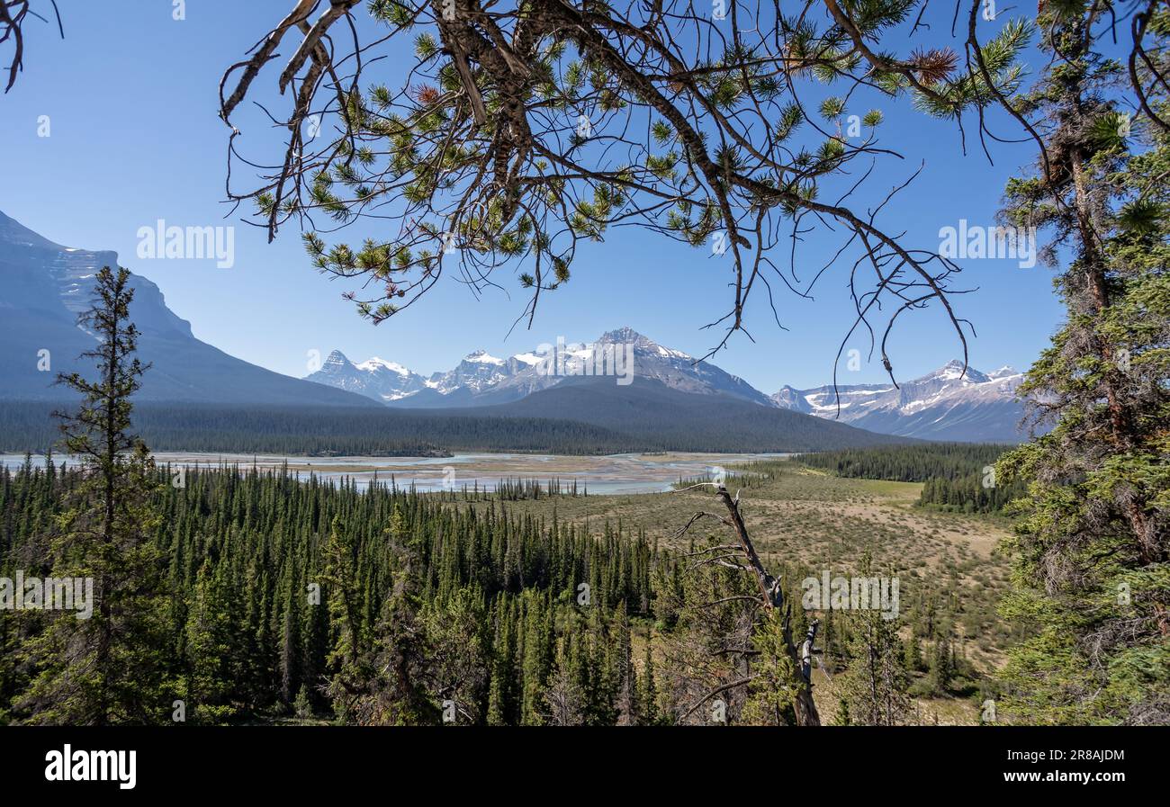 Die gerahmte Landschaft des Howse Pass und der Canadian Rocky Mountains im Banff National Park, Alberta, Kanada Stockfoto