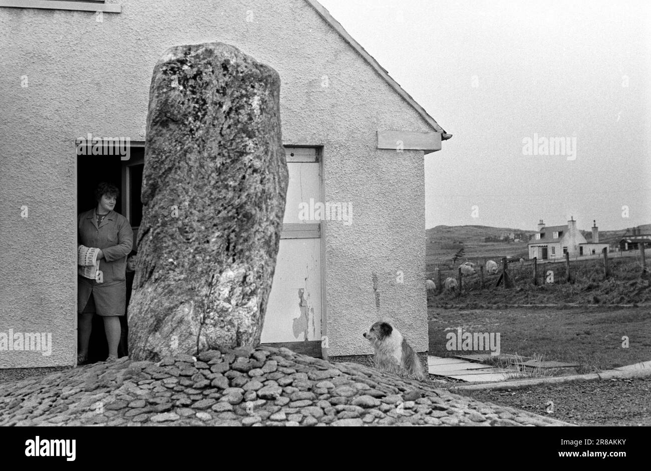 Callanish, Isle of Lewis, Äußere Hebriden Schottland Juni 1974. Ein abgelegener Stein im Stonefields council Housing Estate. Hier ist Haus Nummer 14 Stonefield. Der Stein ist Callanish XII, Teil des riesigen Netzes, das dieses Gebiet bedeckt und wahrscheinlich in irgendeiner Weise mit dem Mond ausgerichtet ist. Der Mieter und ihr Hund. 1970er Jahre Schottland Großbritannien HOMER SYKES Stockfoto
