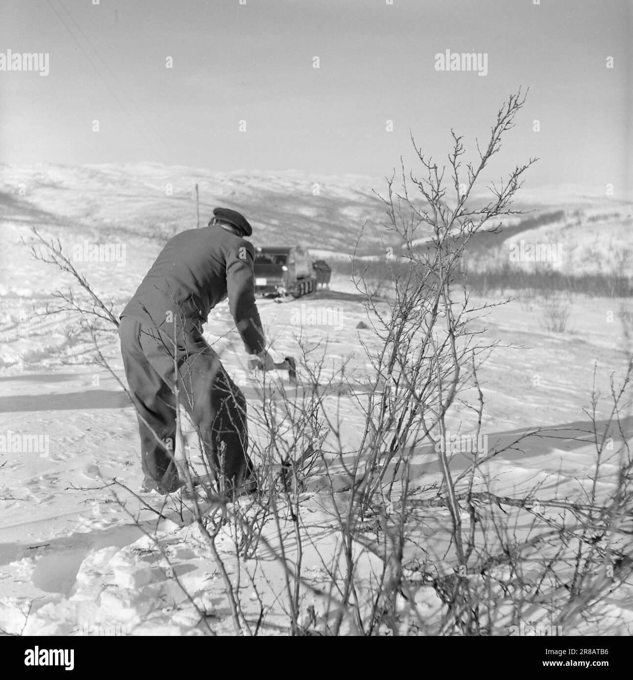 Aktuell 08-1951: Revolution auf der Ebene [Bild 0073]die Finnmark Ebene hat ihre mechanischen Zugtiere, die Schneemobile und die jahrhundertealte Kommunikations-Hegemonie der Rentiere auf der Ebene ist gebrochen. Die Schneemobile, die im letzten Winter ihre erste Begegnung mit Finnmarksvidda hatten, haben sich mit dem Gelände dort wohlgefühlt. Die Akklimatisierung verlief schmerzlos und schnell, und die Schneemobile und die Bevölkerung fühlen sich bereits gut miteinander. Wie vollständig die neuen Transportmittel von der vidda übernommen wurden, zeigt sich an der Beziehung, die die Bewohner haben Stockfoto