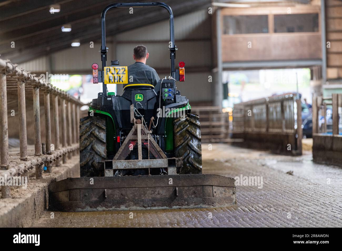 Schlamm in einem Rinderstall mit einem John-Deere-Minitraktor auskratzen. Dumfries, Schottland, Großbritannien. Stockfoto