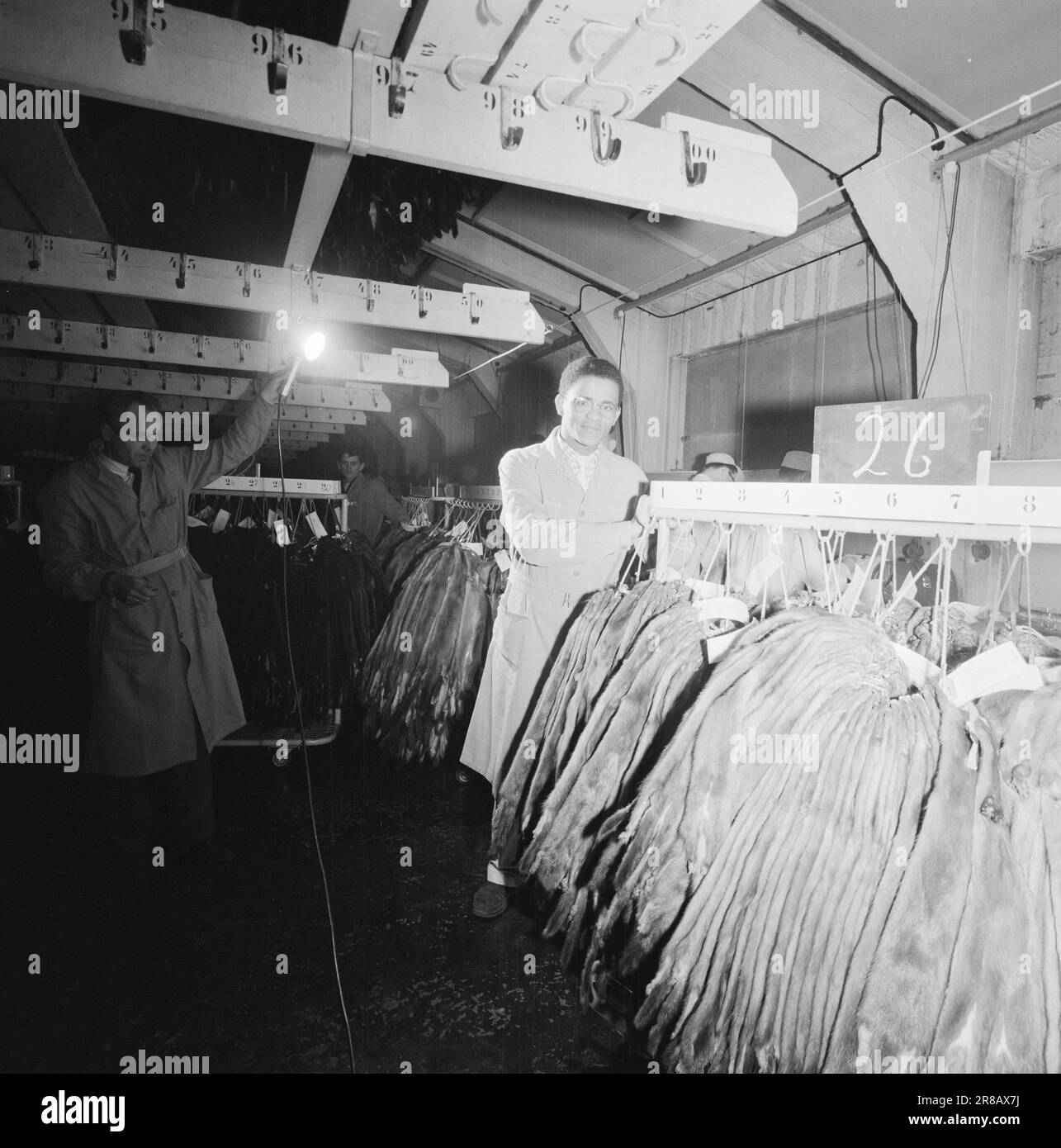 Aktuell 3-11-1960: Auf der Flucht vor Hass Südafrikas Gestapo verfolgte den 23-jährigen Hans Beukes aus einem einzigen Grund durch drei Länder: Er ist farbig. Aber Beukes entkam, und vom UN-Podium ließ er die ganze Welt auf ihn hören. Nach vielen Abenteuern fand er einen Zufluchtsort in Oslo. Foto: Aage Storløkken / Aktuell / NTB ***FOTO NICHT VERARBEITET*** Stockfoto