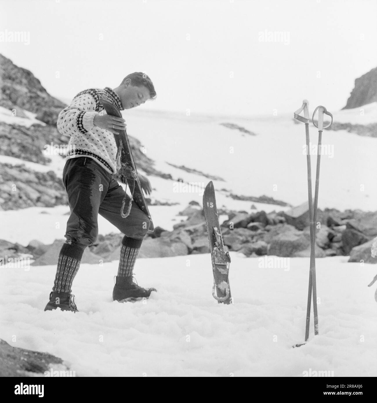 Aktuell 31-4-1960: Breite Skier über den Gletscher unter der Zunge des schwer gerissenen Svellnosbreen gibt es einen Skistall mit weniger als einem Meter langen Skiern. Aber wenn sie klein sind, sind sie im Gegenzug breit wie Schneeschuhe. Es hat keinen Sinn, sie zu verfolgen, solange man es bewältigen kann. Die Skier müssen für den Sommereinsatz geschmiert werden. Der Spezialist Kjell Fjeld hat eine gute Schicht Klebstoff untergelegt und jetzt glättet er liebevoll die Skier. Foto: Ivar Aaserud / Aktuell / NTB ***FOTO NICHT ABGEBILDET*** Stockfoto