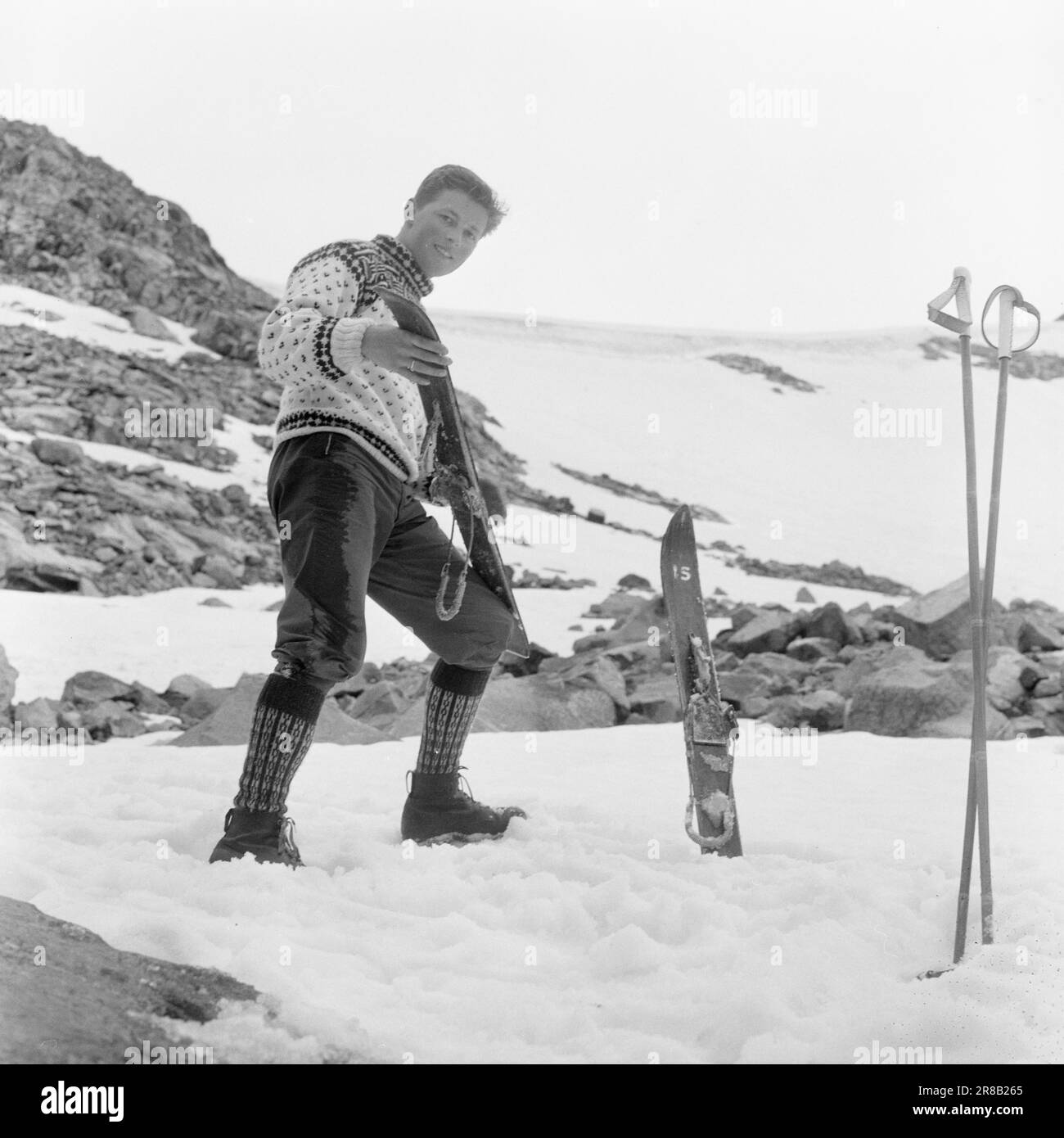 Aktuell 31-4-1960: Breite Skier über den Gletscher unter der Zunge des schwer gerissenen Svellnosbreen gibt es einen Skistall mit weniger als einem Meter langen Skiern. Aber wenn sie klein sind, sind sie im Gegenzug breit wie Schneeschuhe. Es hat keinen Sinn, sie zu treffen, wenn man es einfach schafft. Die Skier müssen für den Sommereinsatz geschmiert werden. Der Spezialist Kjell Fjeld hat eine gute Schicht Klebstoff untergelegt und jetzt glättet er liebevoll die Skier. Foto: Ivar Aaserud / Aktuell / NTB ***FOTO NICHT ABGEBILDET*** Stockfoto