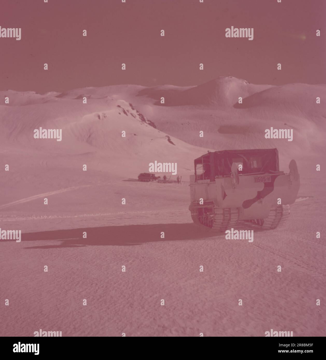 Tatsächlich 06-1950: Anspruchsvoller bergmarsch. Die Schüler der Kommandoschule für die Infanterie und der Feldwebel, 450 Männer, waren auf einem sechstägigen bergmarsch mit kompletter Winterausrüstung und Rüstung. Foto: Sverre A. Børretzen / Aktuell / NTB ***FOTO NICHT BILDVERARBEITET*** digitalisiert von verfärbtem Objektträger. Stockfoto