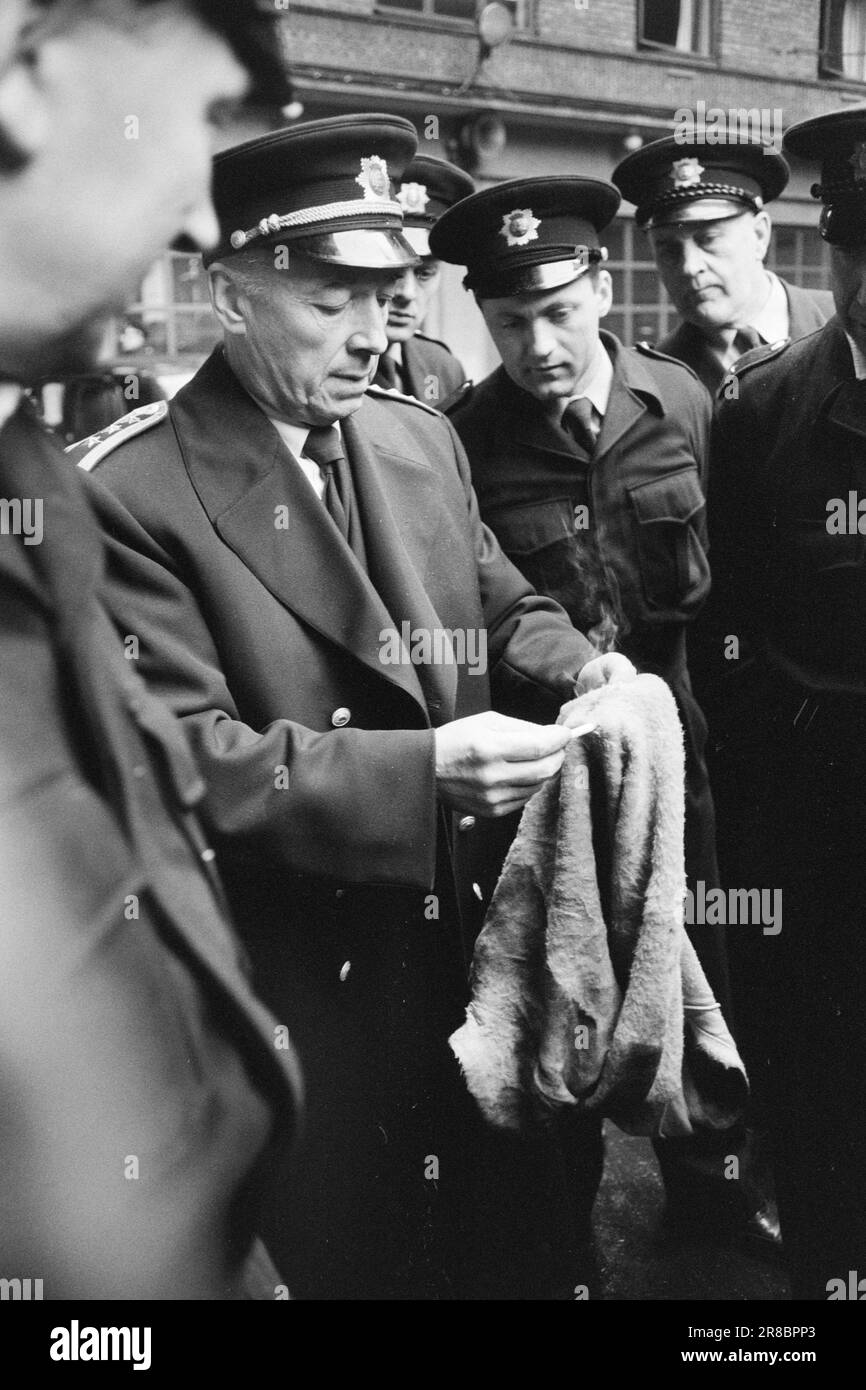 Derzeit 6-10-1960: Lebensgefährliche Bekleidung schrecklich entzündliche Textilien sind im Handel: Silvermohair. Achten Sie auf den Namen und denken Sie nicht daran, einen Pullover mit dieser Marke zu kaufen. Zu viel für eine entzündliche Kleidung ist hoffentlich nicht im Handel erhältlich. Silbermohair hat nichts mit normalem Mohair zu tun. Echtes Mohair wird aus Ziegenwolle gesponnen, silbernes Mohair dagegen aus Rayon. Foto: Sverre A. Børretzen / Aktuell / NTB ***FOTO NICHT IMAGE PROCESSED*** Stockfoto