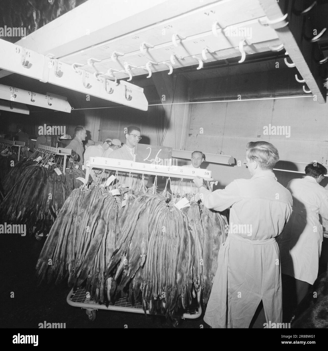 Aktuell 3-11-1960: Auf der Flucht vor Hass Südafrikas verfolgte die Gestapo den 23-jährigen Hans Beukes aus einem einzigen Grund durch drei Länder: Er ist farbig. Aber Beukes entkam, und vom UN-Podium ließ er die ganze Welt auf ihn hören. Nach vielen Abenteuern fand er einen Zufluchtsort in Oslo. Foto: Aage Storløkken / Aktuell / NTB ***FOTO NICHT VERARBEITET*** Stockfoto