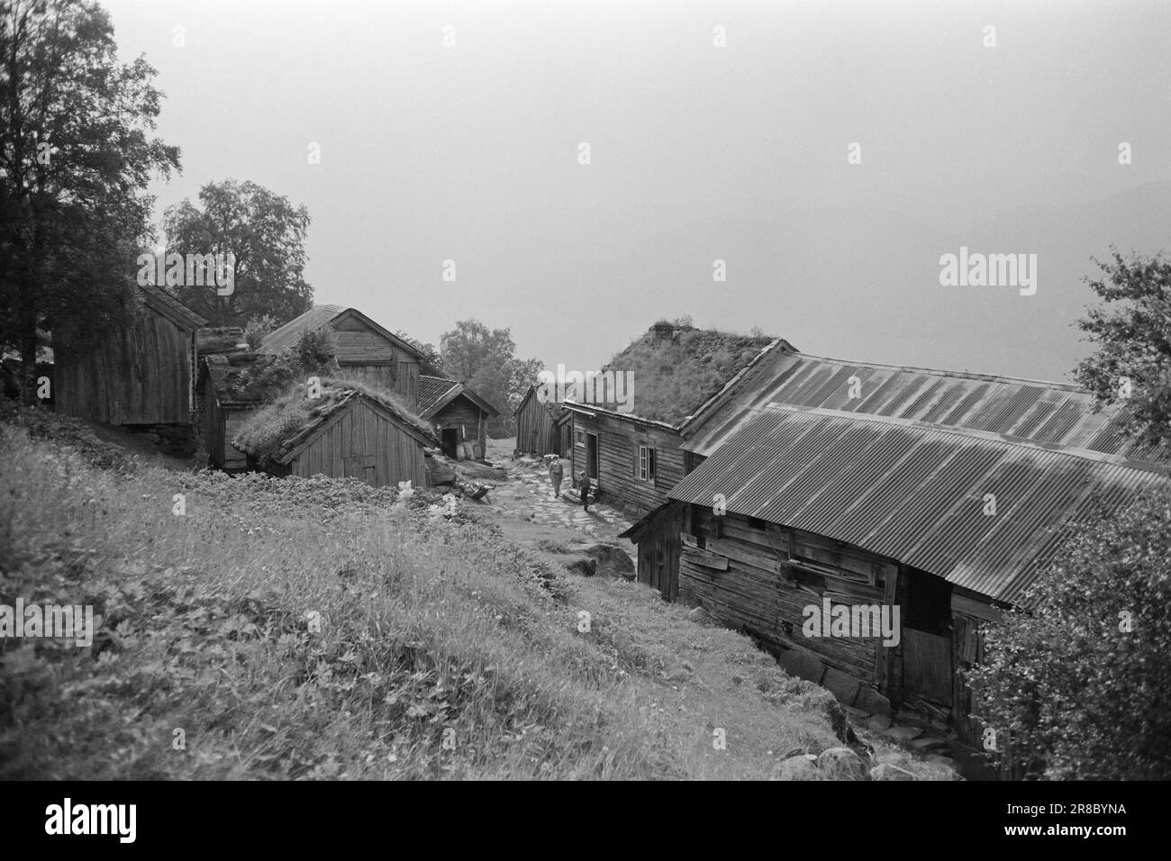 Tatsächlich 36-8-1960 : und dort trafen wir die huldra an einem Ort, wo niemand glauben sollte, dass jemand leben könnte. Die Farm Lid in Hylsfjorden in Ryfylke. Die Werft besteht aus elf Häusern. Foto: Sverre A. Børretzen / Aktuell / NTB ***Foto nicht verarbeitet*** Stockfoto