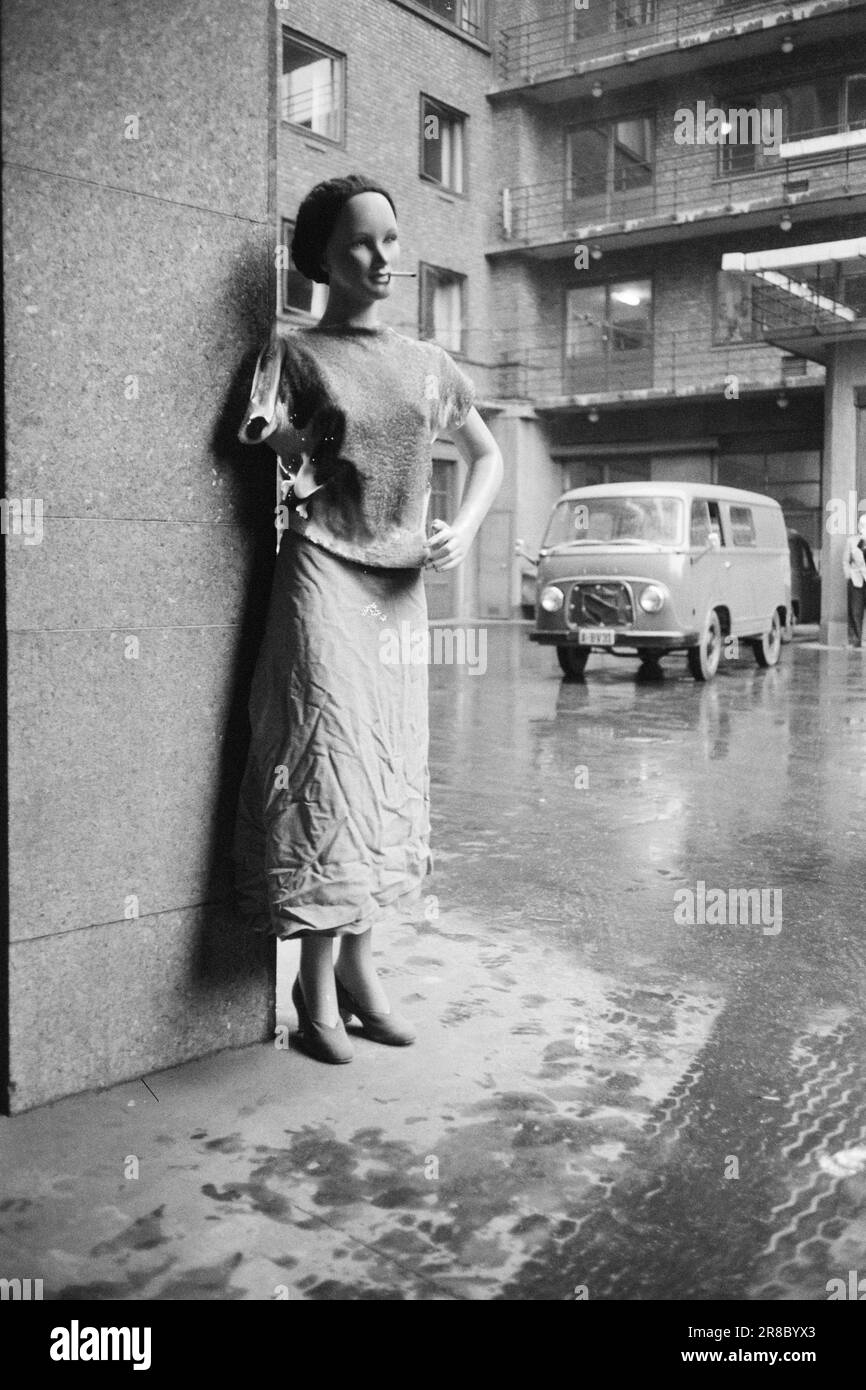 Derzeit 6-10-1960: Lebensgefährliche Bekleidung schrecklich entzündliche Textilien sind im Handel: Silvermohair. Achten Sie auf den Namen und denken Sie nicht daran, einen Pullover mit dieser Marke zu kaufen. Zu viel für eine entzündliche Kleidung ist hoffentlich nicht im Handel erhältlich. Silbermohair hat nichts mit normalem Mohair zu tun. Echtes Mohair wird aus Ziegenwolle gesponnen, silbernes Mohair dagegen aus Rayon. Foto: Sverre A. Børretzen / Aktuell / NTB ***FOTO NICHT IMAGE PROCESSED*** Stockfoto