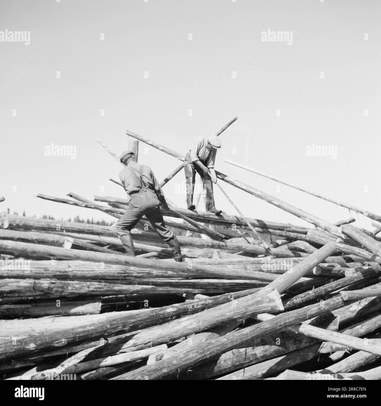 Derzeit 17-1-1947: Die katastrophale Dürreberichtungen aus allen Ecken Ostnorwegens über die äußerst ernsten Folgen der anhaltenden Dürre. Die großen Flüsse sind fast zu nichts geschrumpft. Die Floater Unternehmen die größten Anstrengungen, um das Holz wieder in Betrieb zu nehmen, aber die abschließende Reinigung ist in diesem Jahr außergewöhnlich schwierig. Das Wasser muss mindestens einen halben Meter steigen, wenn es Hoffnung auf ein vernünftiges brauchbares Ergebnis geben soll. Foto: Aktuell/NTB ***FOTO NICHT VERARBEITET*** Stockfoto