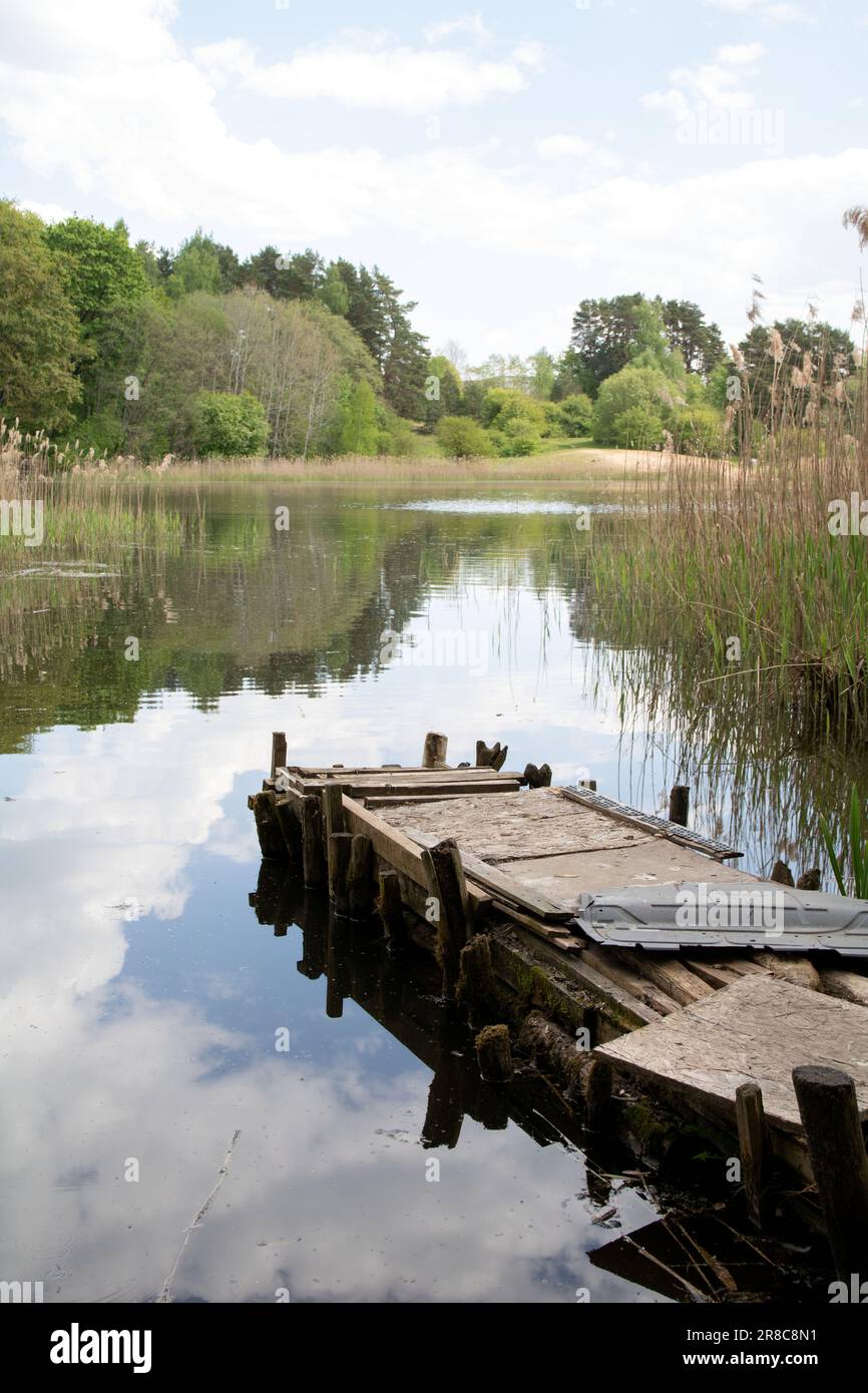 Fotobootrampe und Angelrampe auf dem See in der Nähe des Waldes Stockfoto