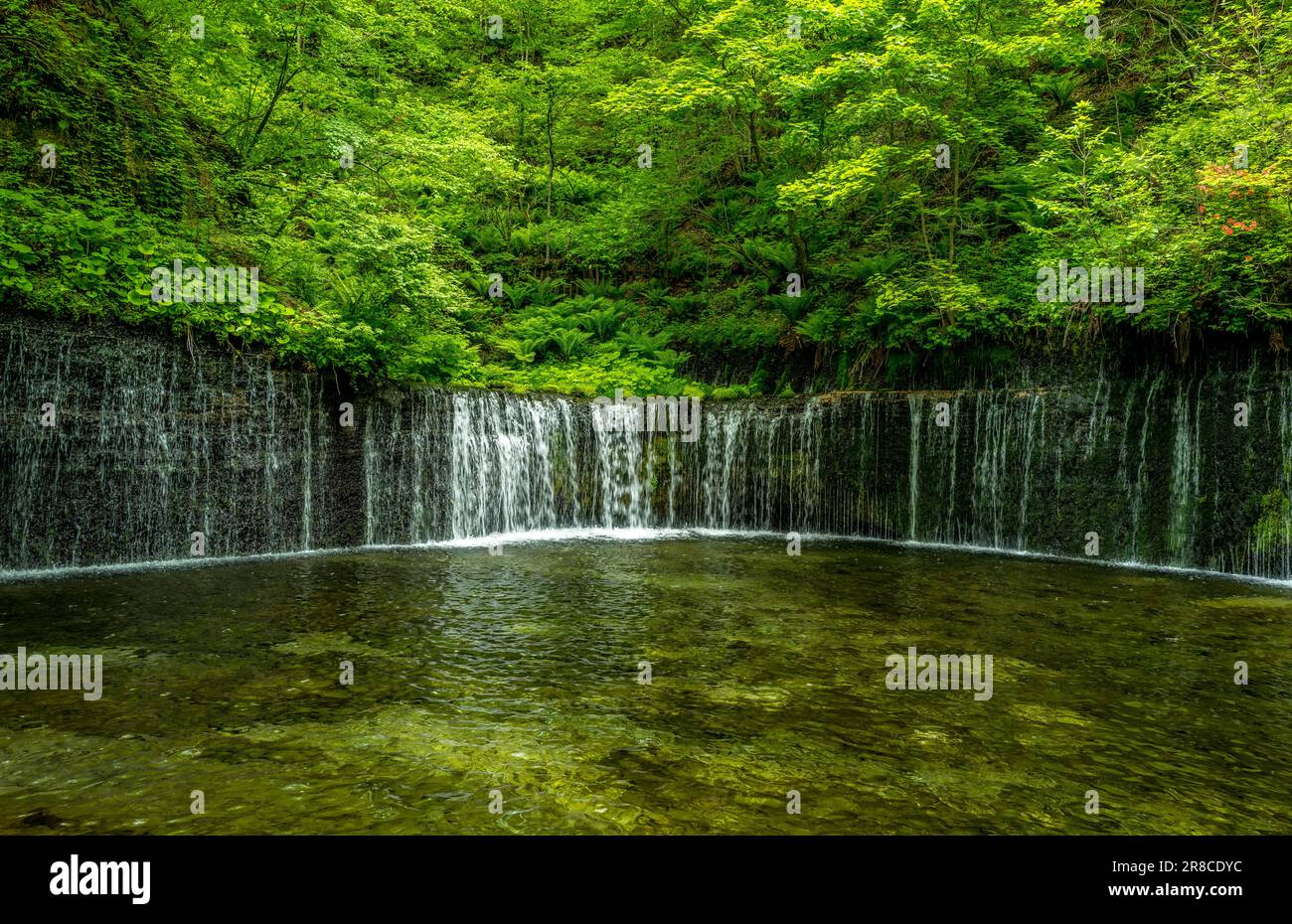 Shiraito-Wasserfall in Karuizawa, Nagano, Japan Stockfoto
