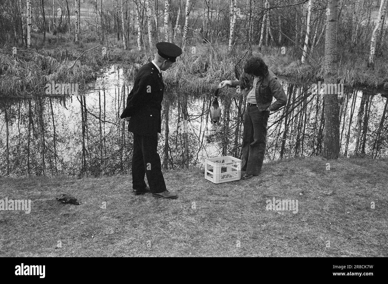 Tatsächlich 22 - 2 - 1974: DUS mit der Police Die Bezirkspolizei ist ein seltsames Phänomen, das als eine Art Pufferzone zwischen dem gewöhnlichen Polizisten und dem Jungen auf der Straße agiert. Der Zweck besteht in erster Linie darin, Verbrechen zu verhindern. Current ist bei den Offizieren Helge Løhren und Lars Stubstad. Die Wilderei von Vögeln ist ein ernstes Problem in der Østensjøvannet. Foto: Ivar Aaserud / Aktuell / NTB ***FOTO NICHT ABGEBILDET*** Stockfoto