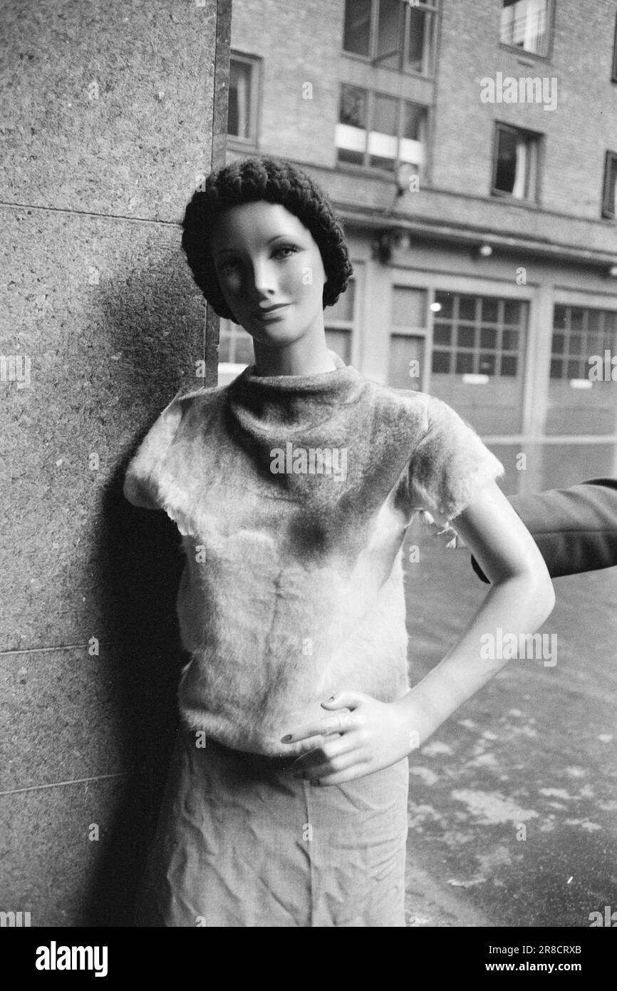 Derzeit 6-10-1960: Lebensgefährliche Bekleidung schrecklich entzündliche Textilien sind im Handel: Silvermohair. Achten Sie auf den Namen und denken Sie nicht daran, einen Pullover mit dieser Marke zu kaufen. Zu viel für eine entzündliche Kleidung ist hoffentlich nicht im Handel erhältlich. Silbermohair hat nichts mit normalem Mohair zu tun. Echtes Mohair wird aus Ziegenwolle gesponnen, silbernes Mohair dagegen aus Rayon. Foto: Sverre A. Børretzen / Aktuell / NTB ***FOTO NICHT IMAGE PROCESSED*** Stockfoto