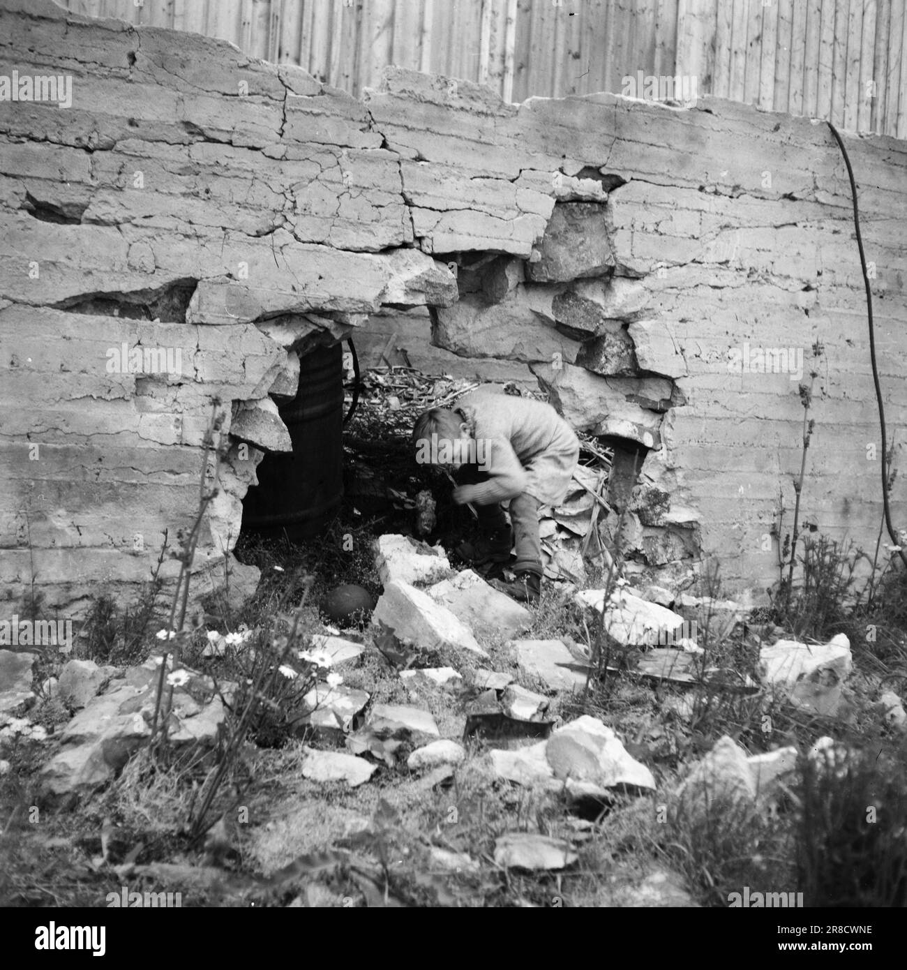 Tatsächlich 20-3-1947: Honningsvåg'Zwischen Baracken und Bergen am Meer...' Als die deutschen „Entstörungsabteilungen“ Honningsvåg verließen, blieb nur die winzige Holzkirche erhalten und bezeugte, dass Honningsvåg eine florierende kleine Gemeinde war, das größte Fischerdorf von West Finnmark. Wie sieht es heute in Honningsvåg aus, fast drei Jahre nachdem die Deutschen in Finnmark ihre Verwüstung begannen? Wie läuft es eigentlich mit der umstrittenen Restaurierung im Norden? Wesle Svend Helge Hansen springt aus einem Loch in der Fundamentwand, auf der sein Zuhause einst stand. Svend Helge ist nicht wieder da Stockfoto