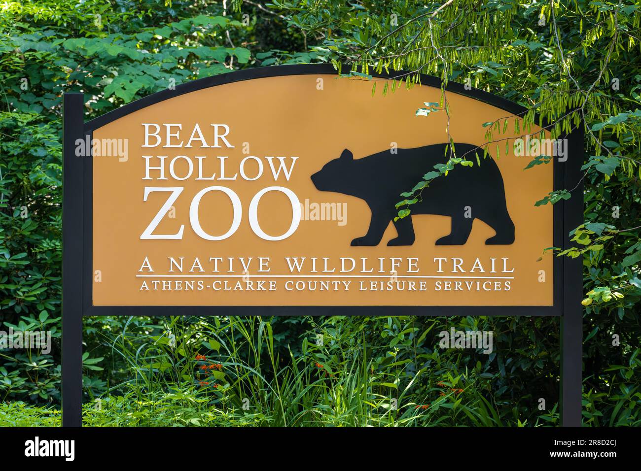 Eingangsschild für Bear Hollow Zoo, nicht freisetzbares einheimisches Tierschutzgebiet in Athen, Georgia. (USA) Stockfoto