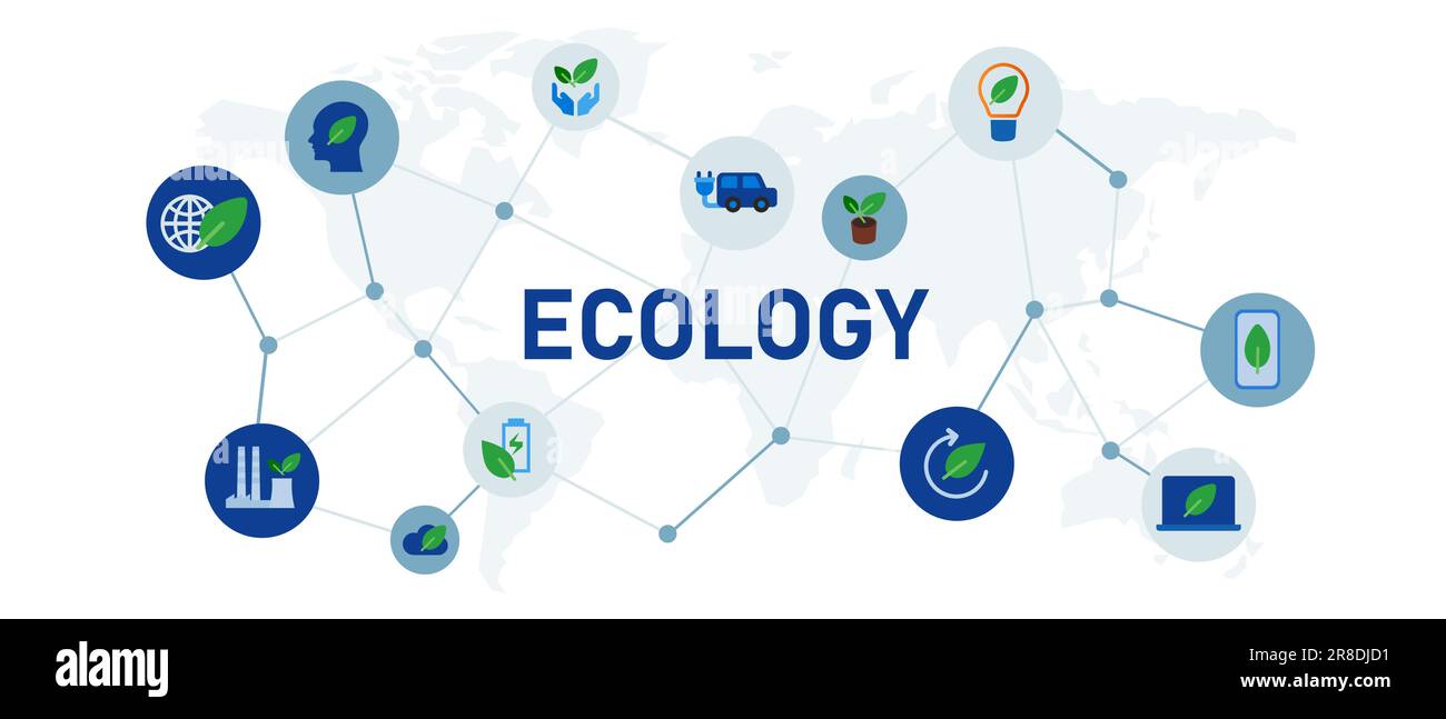 Ökologie Öko Globales umweltfreundliches Konzept für ein miteinander verbundenes Symbolset für Unternehmen Illustration Stock Vektor