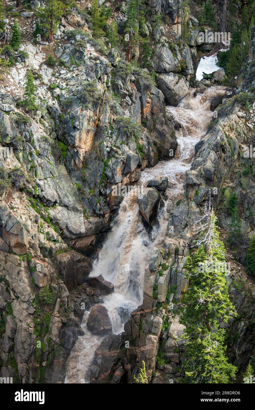 Leavitt Falls und Leavitt Meadow befinden sich auf der Ostseite des Sonora Pass in der Sierra Nevada von Kalifornien. Stockfoto