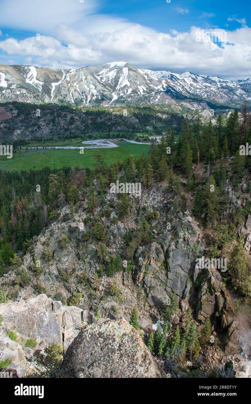 Leavitt Falls und Leavitt Meadow befinden sich auf der Ostseite des Sonora Pass in der Sierra Nevada von Kalifornien. Stockfoto