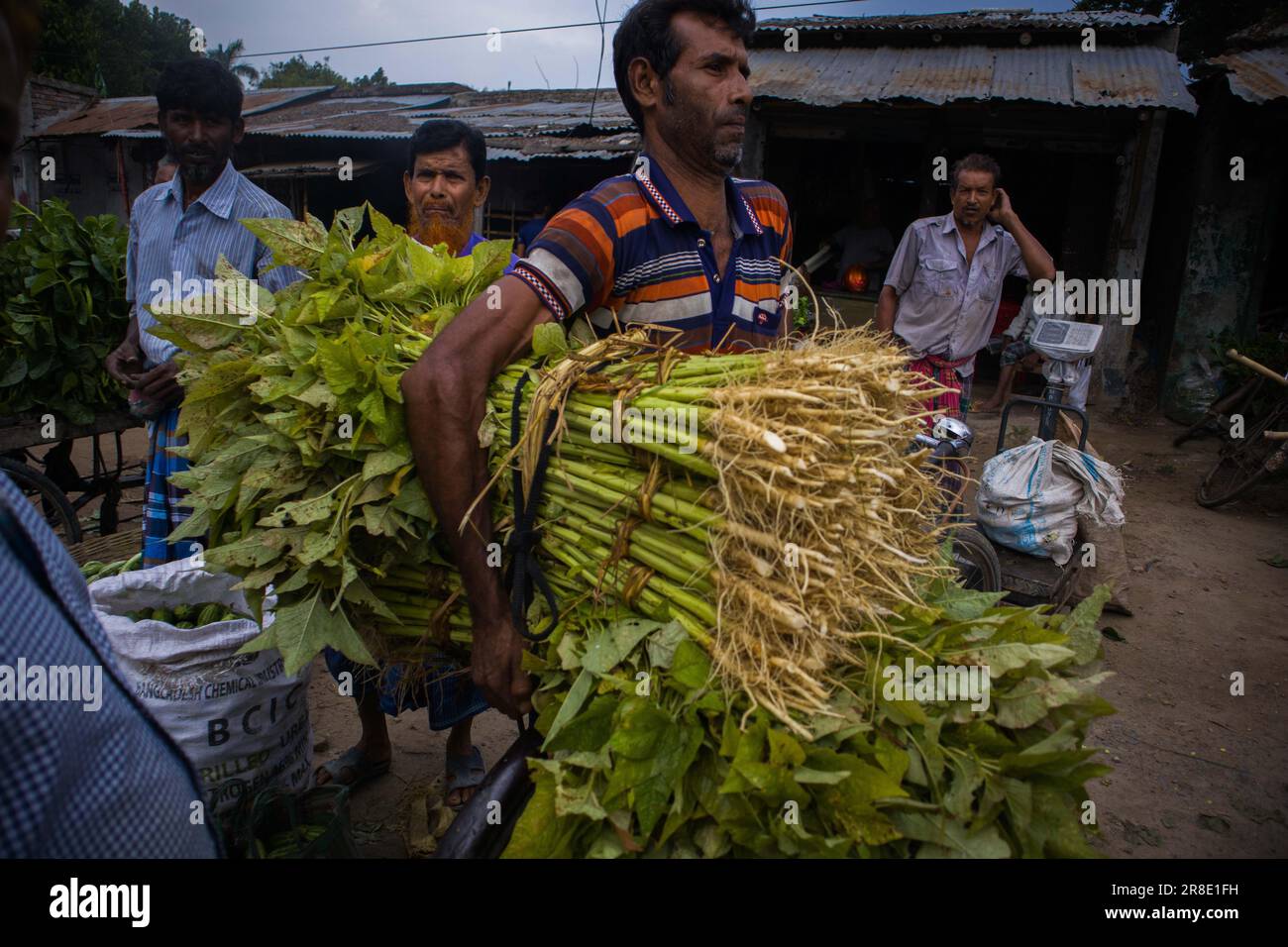Gemüsegroßhandelsmarkt in Churamonkati, Jashore, Bangladesch Stockfoto