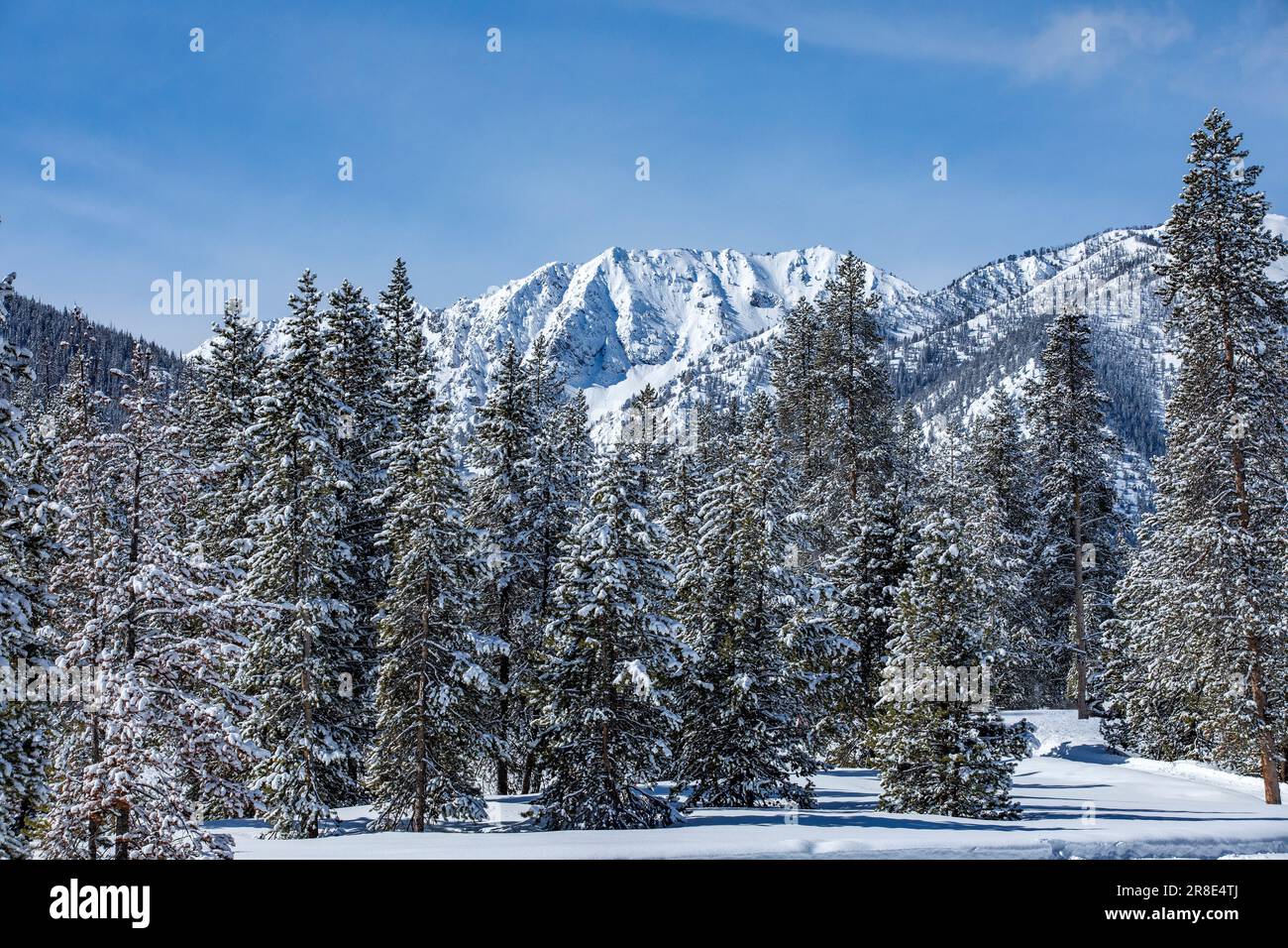 USA, Idaho, Sun Valley, schneebedeckte Berggipfel und Bäume Stockfoto