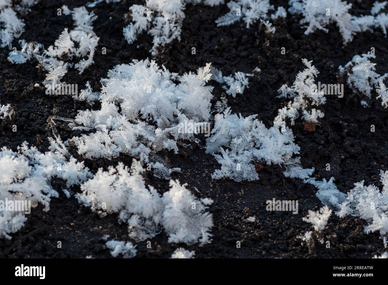 Schneeflocken auf schwarzem Hintergrund für Ihre Fotos. Winter schneebedeckter Hintergrund. Konsistenz von Schneeflocken Stockfoto