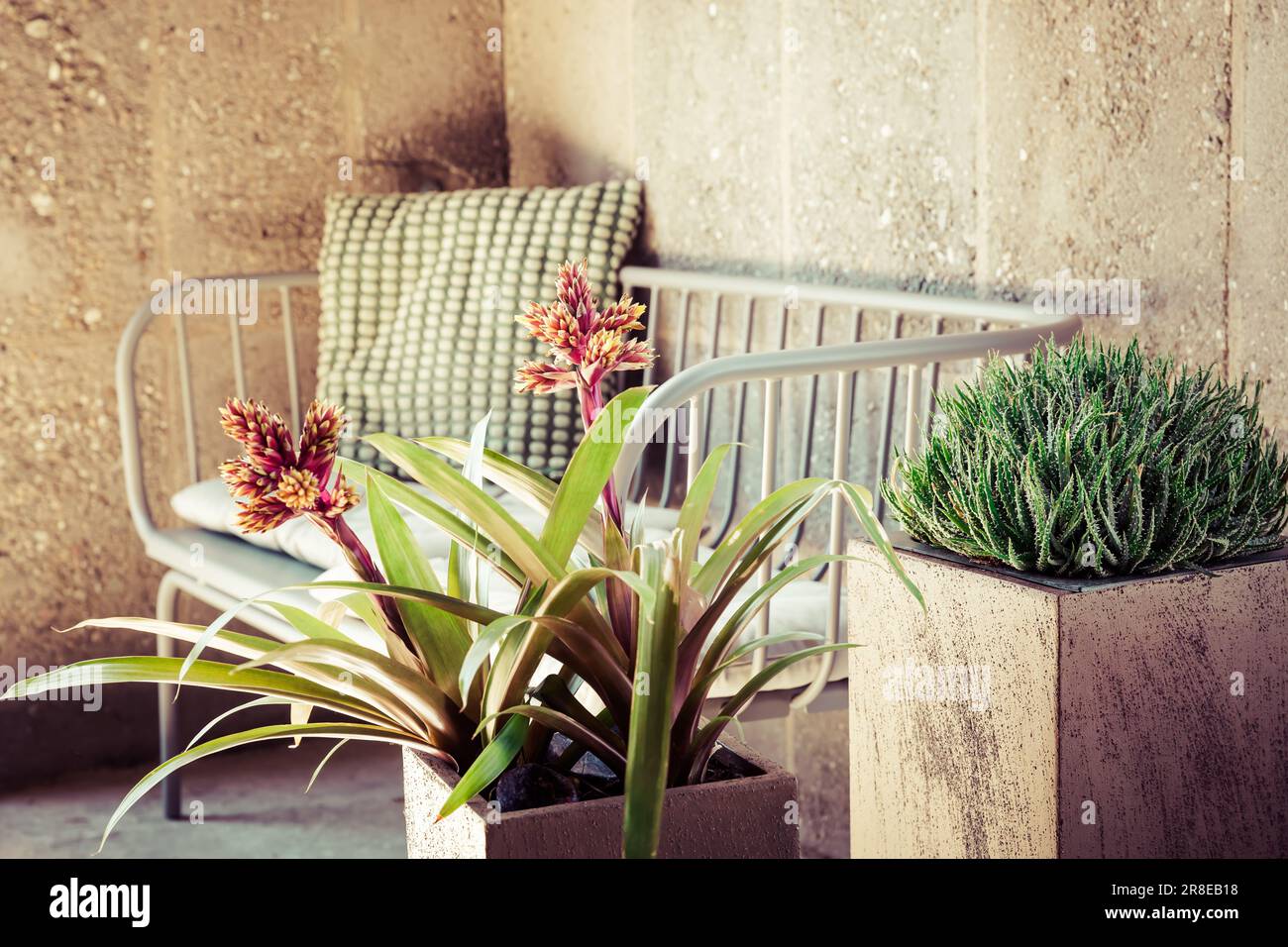 Pflanzen mit gemütlichem Sofa und Kissen im Vintage-Stil Stockfoto