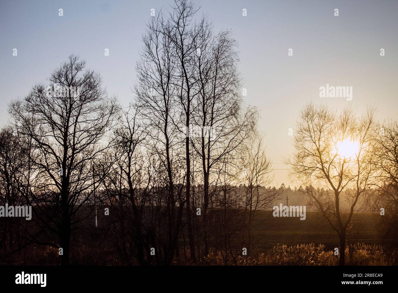 Fröhliche Natur, Sonnenlicht, Landschaft im ländlichen Raum am Morgen Stockfoto