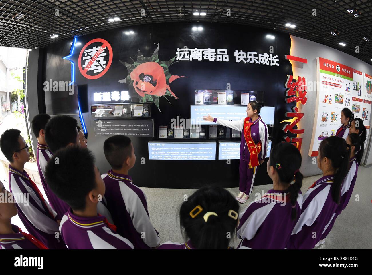 Schüler der Mittelstufe besuchen am 21. Juni 2023 die Bildungsbasis für Rechtsstaatlichkeit in Guiyang, Provinz Guizhou, China. um mehr über die Arten von Medikamenten zu erfahren Stockfoto