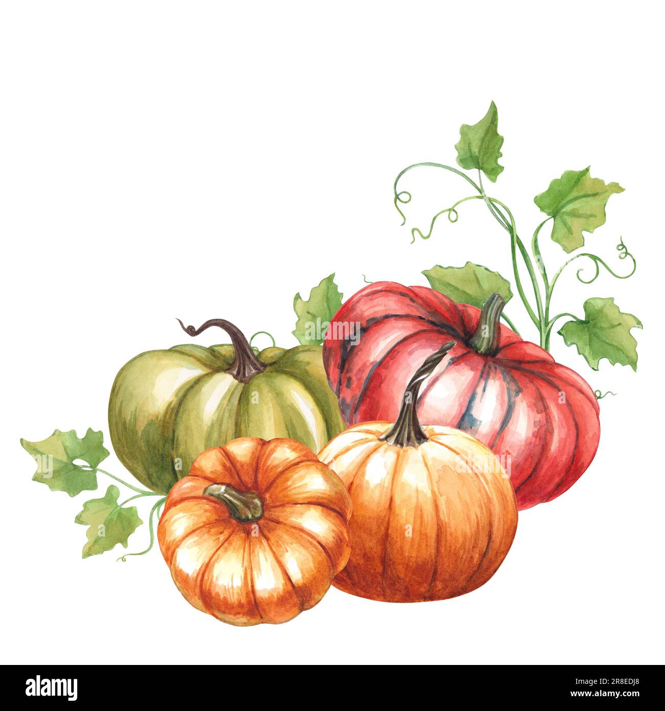 Blanko Herbst-Grußkarten Mit Kürbis-Motiven - 24 Stück, 6 Designs, 14x10,8 Cm, Inkl. Umschläge