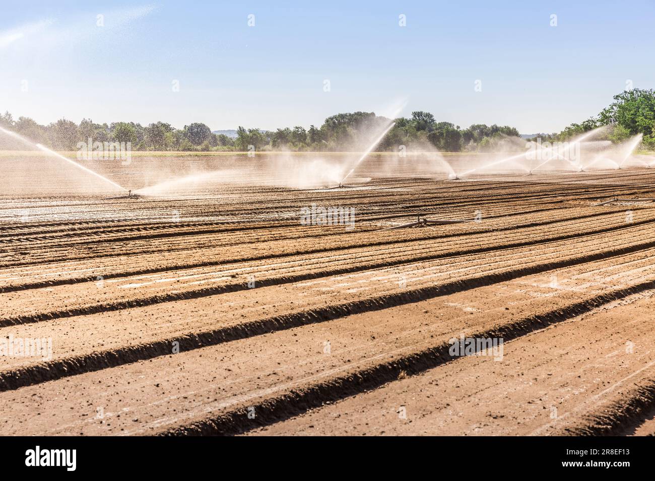 Das Bewässerungssystem auf einem großen Bauernhof Feld Stockfoto