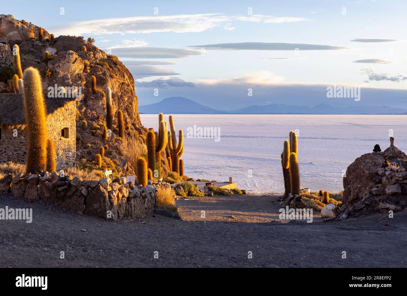 Isla Incahuasi bei Sonnenuntergang mit Blick auf den größten Salzsee der Welt, den Salar de Uyuni im bolivianischen Hochland, den Altiplano in Südamerika Stockfoto