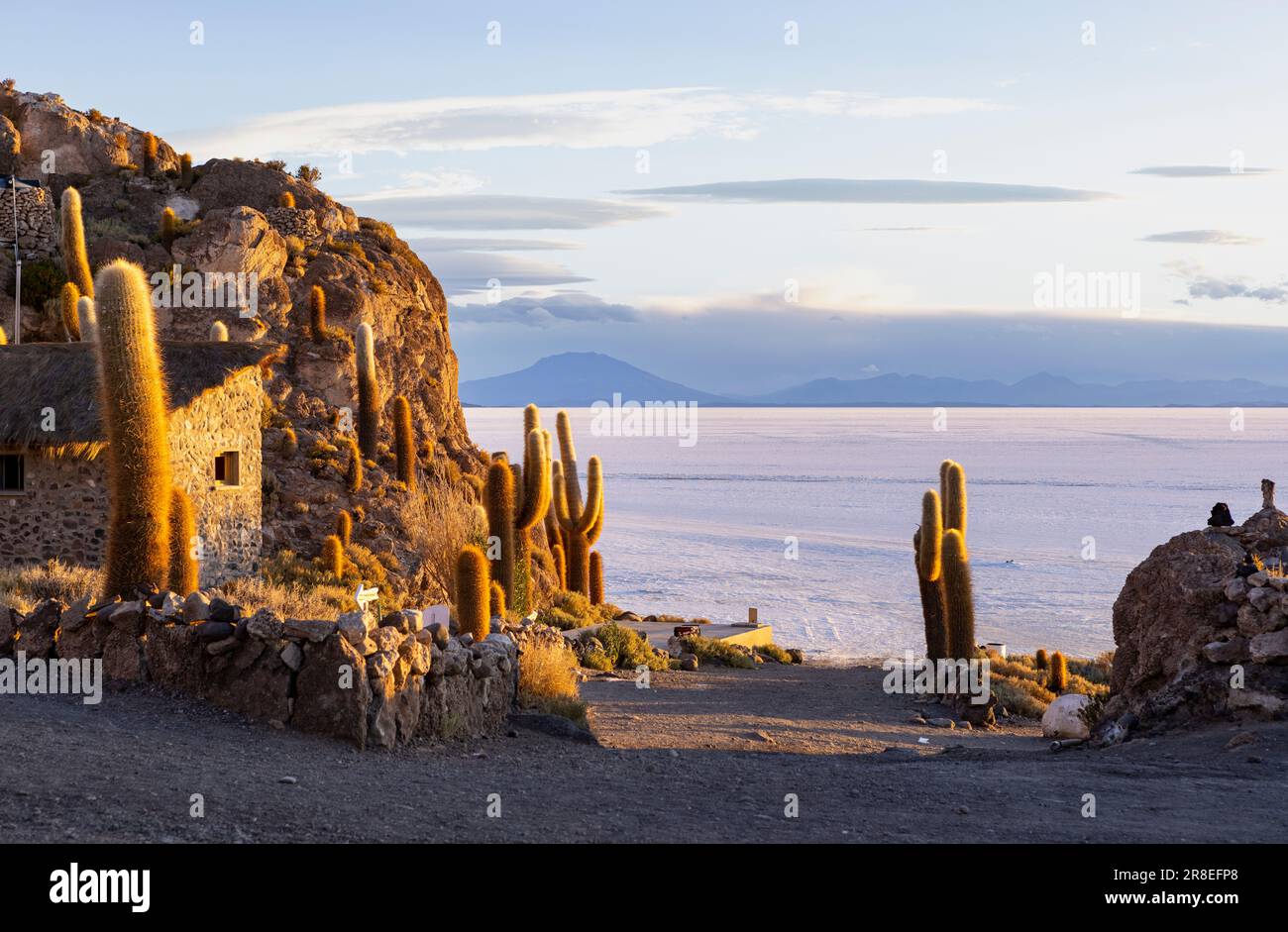 Isla Incahuasi bei Sonnenuntergang mit Blick auf den größten Salzsee der Welt, den Salar de Uyuni im bolivianischen Hochland, den Altiplano in Südamerika Stockfoto