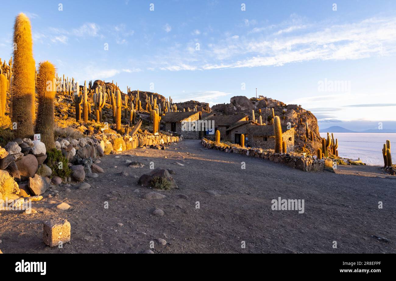 Isla Incahuasi bei Sonnenuntergang mit Blick auf den größten Salzsee der Welt, den Salar de Uyuni im bolivianischen Hochland, den Altiplano in Südamerika Stockfoto