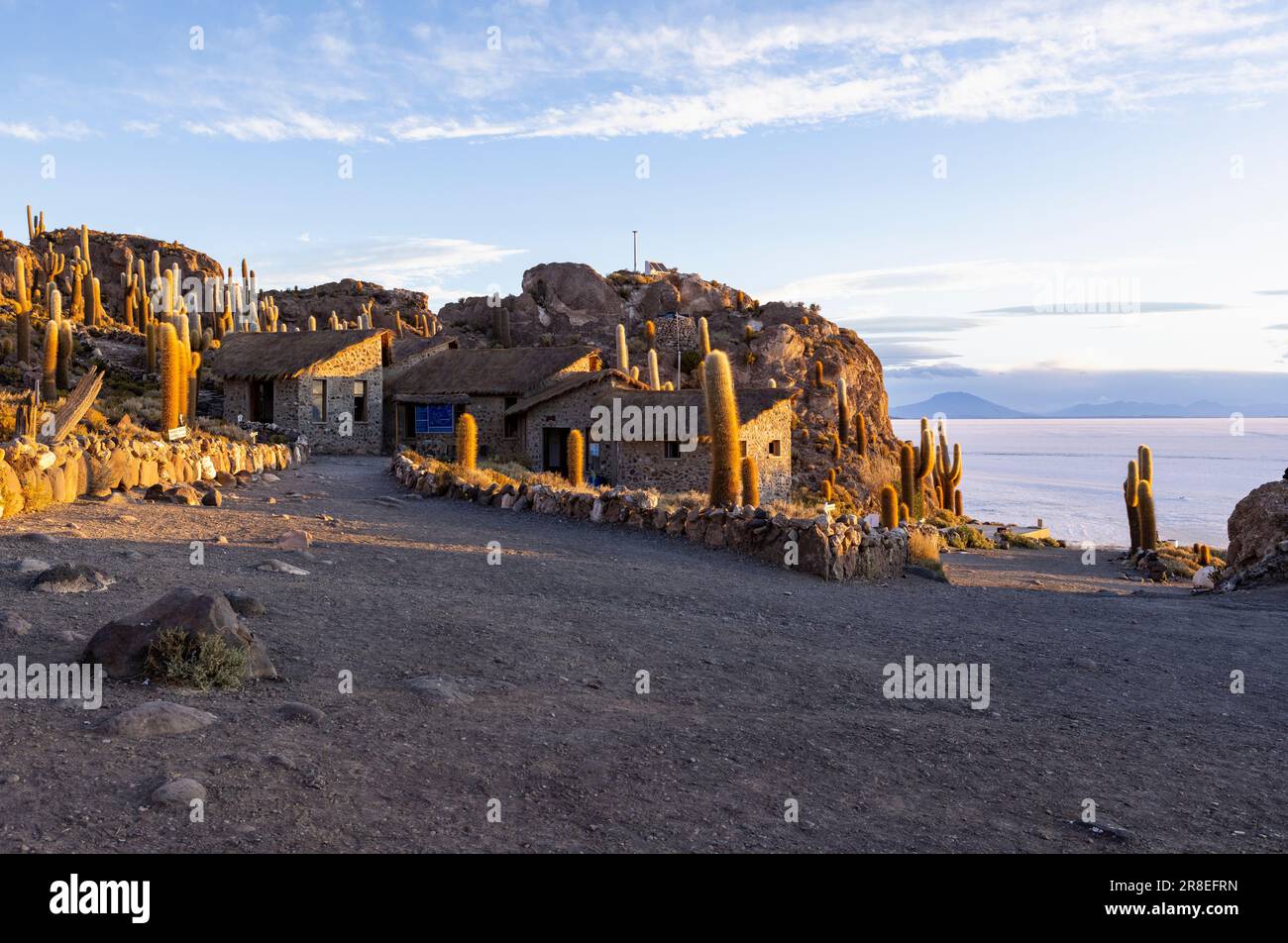 Isla Incahuasi bei Sonnenuntergang mit Blick auf den größten Salzsee der Welt, den Salar de Uyuni im bolivianischen Hochland, den Altiplano in Südamerika Stockfoto