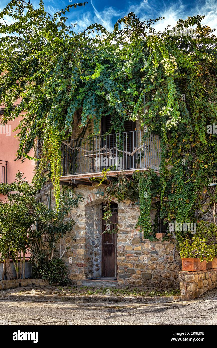Ein kleines Steinhaus mit Blick auf das Meer mit blühenden Kletterpflanzen und Efeu an der Fassade. Sizilien, Italien, Europa Stockfoto