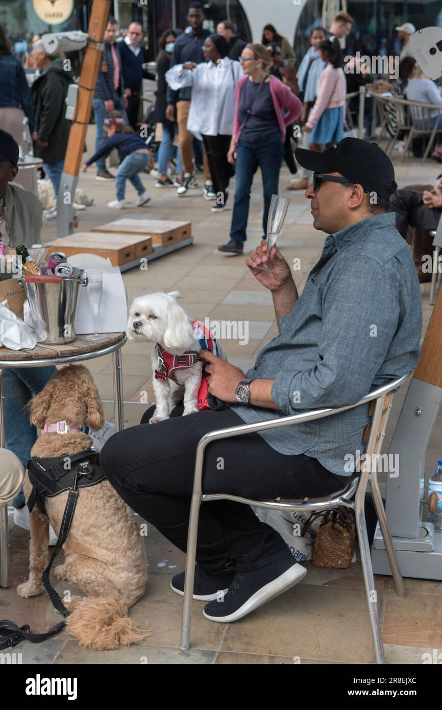 Chelsea, London, England, 4. Juni 2022. Die Kings Road, Platinum Jubilee Street Party, die den Krisenappell des britischen Roten Kreuzes in der Ukraine unterstützt. Die Kings Road ist teilweise für den Verkehr gesperrt, die Menschenmassen der Einheimischen und Touristen genießen das Sommerwetter. Champagner auf dem Duke of York Square, ein Mann und sein Hund. Stockfoto