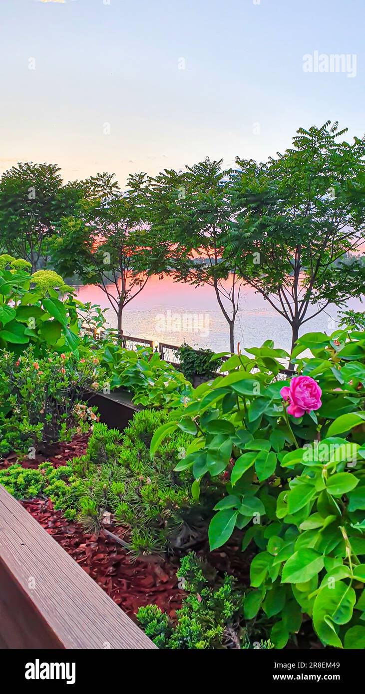 Natur im Park bei Sonnenuntergang. Blick auf den Teich und den Abendhimmel. Gartendesign. Speicherplatz kopieren. Stockfoto