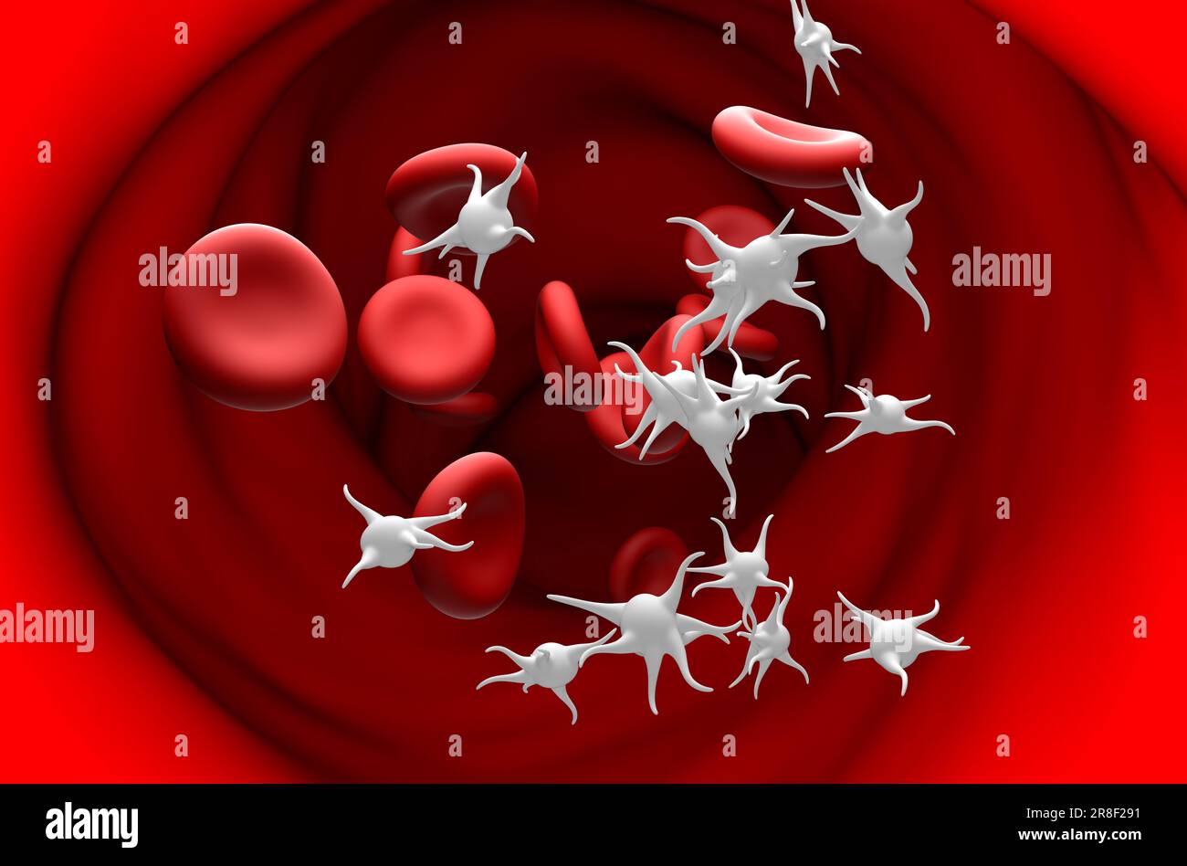 Essenzielle Thrombozythämie (ET), Überproduktion von Thrombozyten - Schnittansicht 3D Abbildung Stockfoto