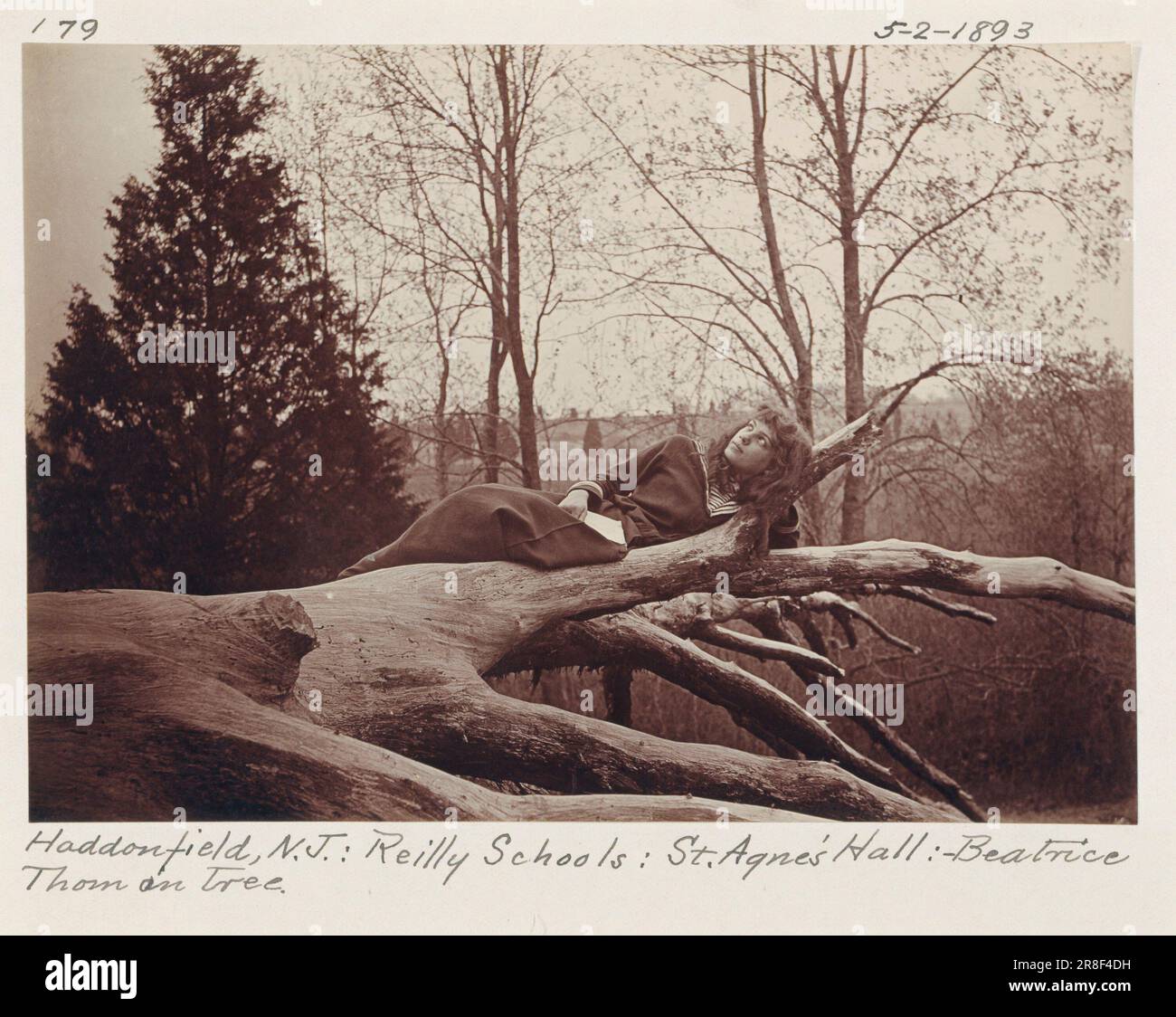 [Beatrice Thom on Tree, Haddonfield, New Jersey] 1893 von Unidentified Stockfoto