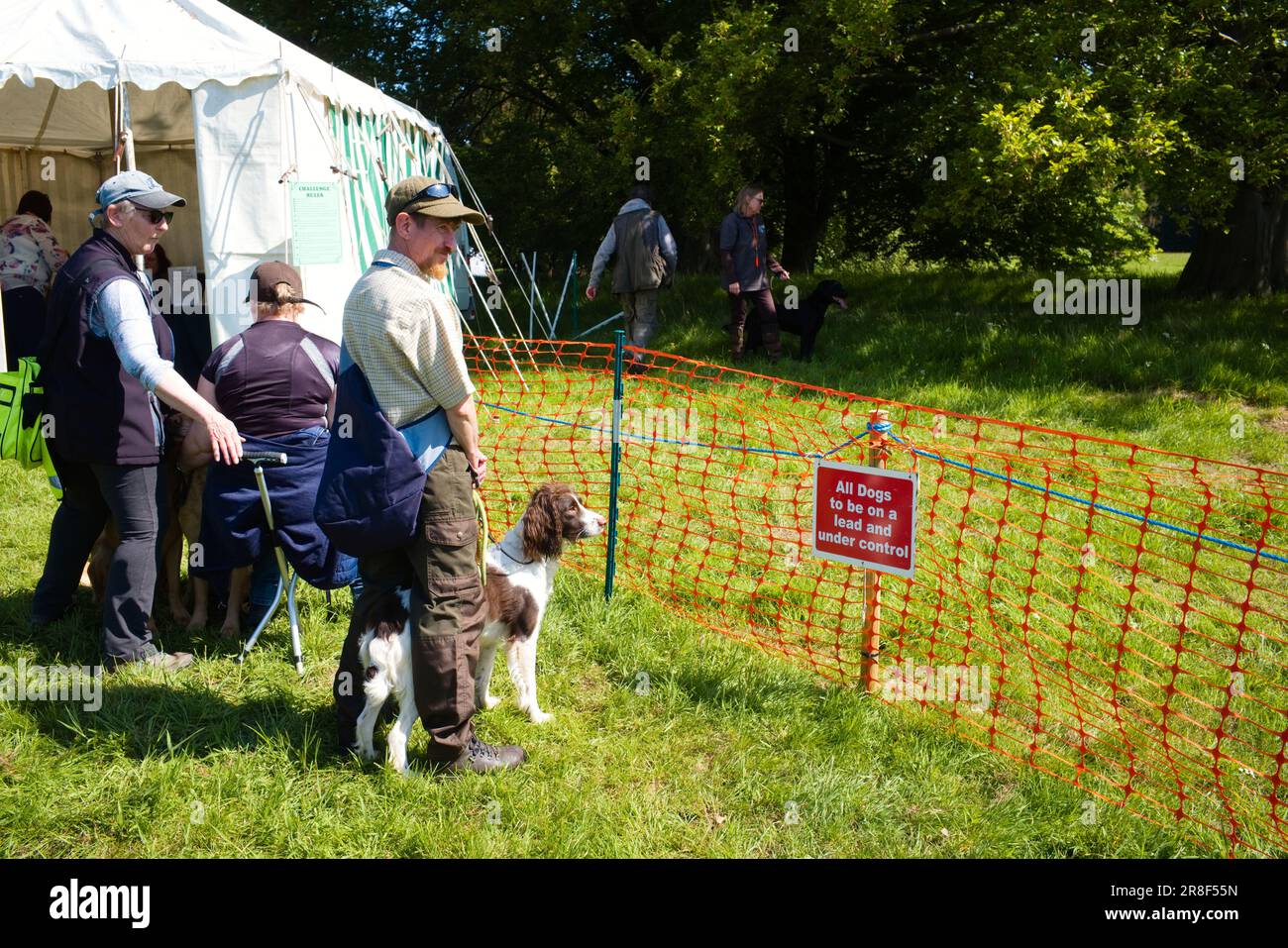 Die Wettkämpfer warten auf ihren Platz bei der Schießhunde-Scurry, Scampton Game and Country Fair, Yorkshire Stockfoto