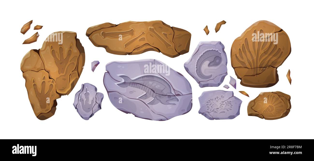Fossiliensteine mit Dinosaurierabdrücken, Silhouetten alter Pflanzen und prähistorische Tierskelette. Archäologie- und Paläontologie-Ikonen mit Dinofuß- und Fish-in-Rock-Druck, Vektorgrafikset Stock Vektor Fossiliensteine mit Dinosaurierabdrücken, Silhouetten alter Pflanzen und prähistorische Tierskelette. Archäologie- und Paläontologie-Ikonen mit Dinofuß- und Fish-in-Rock-Druck, Vektorgrafikset Stock Vektor
