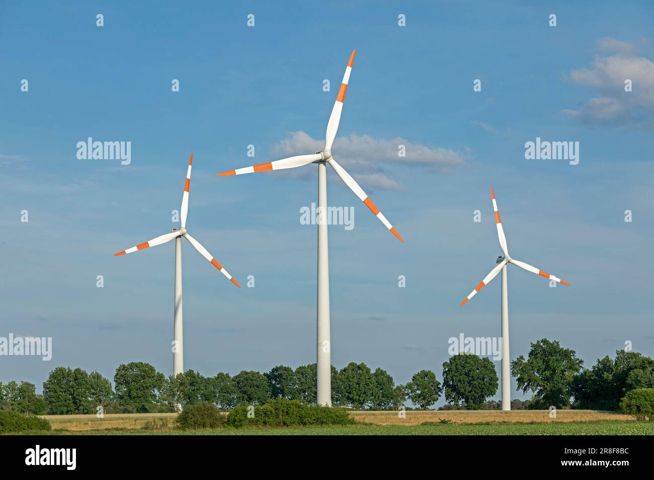 Windkraftwerke, Bäume, Südergellersen, Niedersachsen, Deutschland Stockfoto