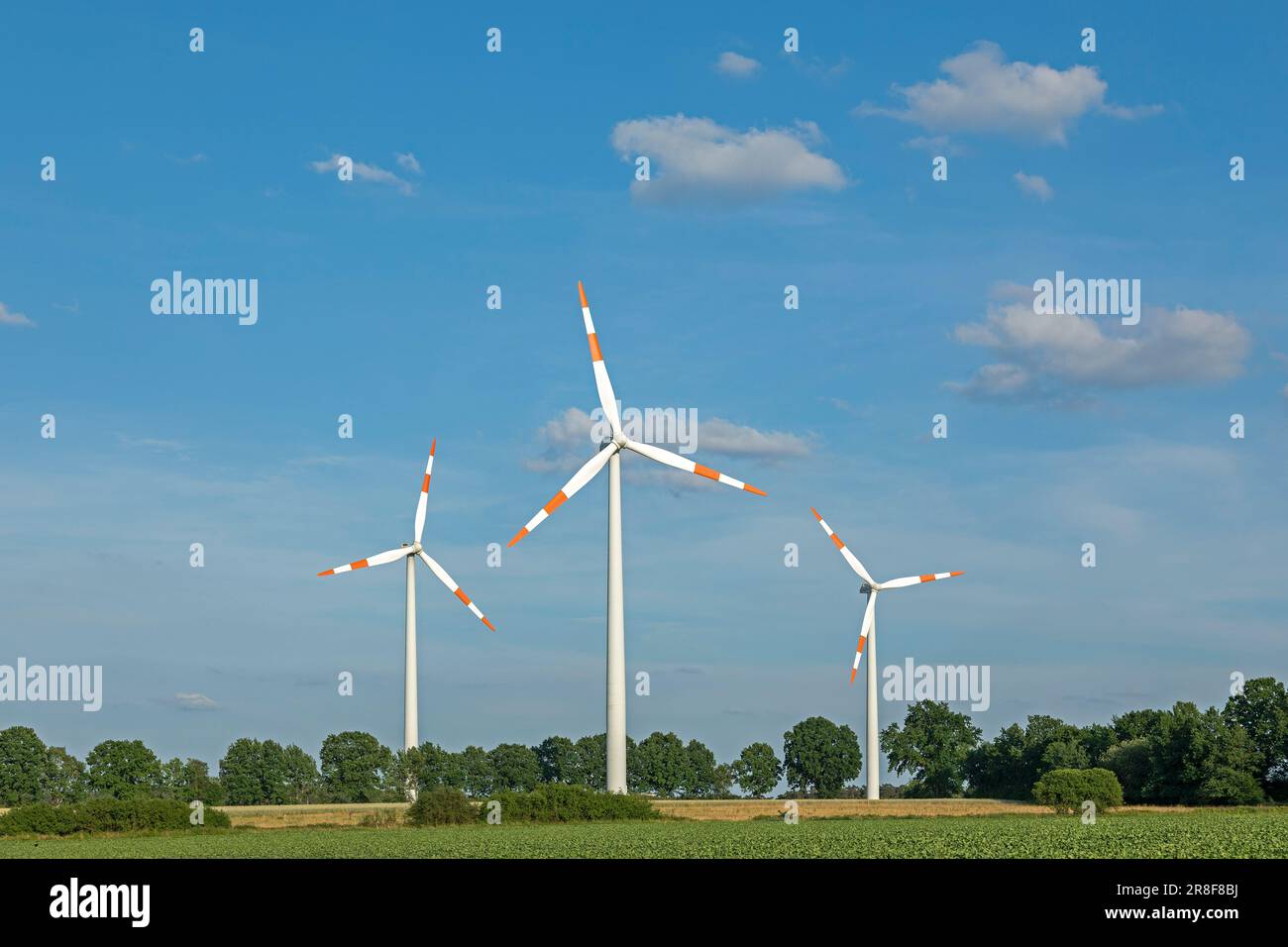 Windkraftwerke, Bäume, Südergellersen, Niedersachsen, Deutschland Stockfoto