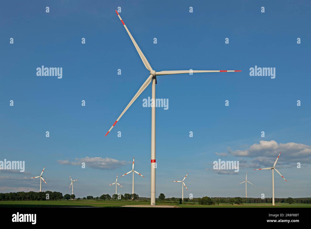 Windkraftwerke, Südergellersen, Niedersachsen, Deutschland Stockfoto