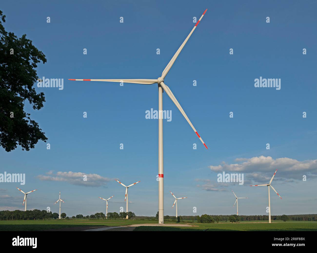 Windkraftwerke, Südergellersen, Niedersachsen, Deutschland Stockfoto